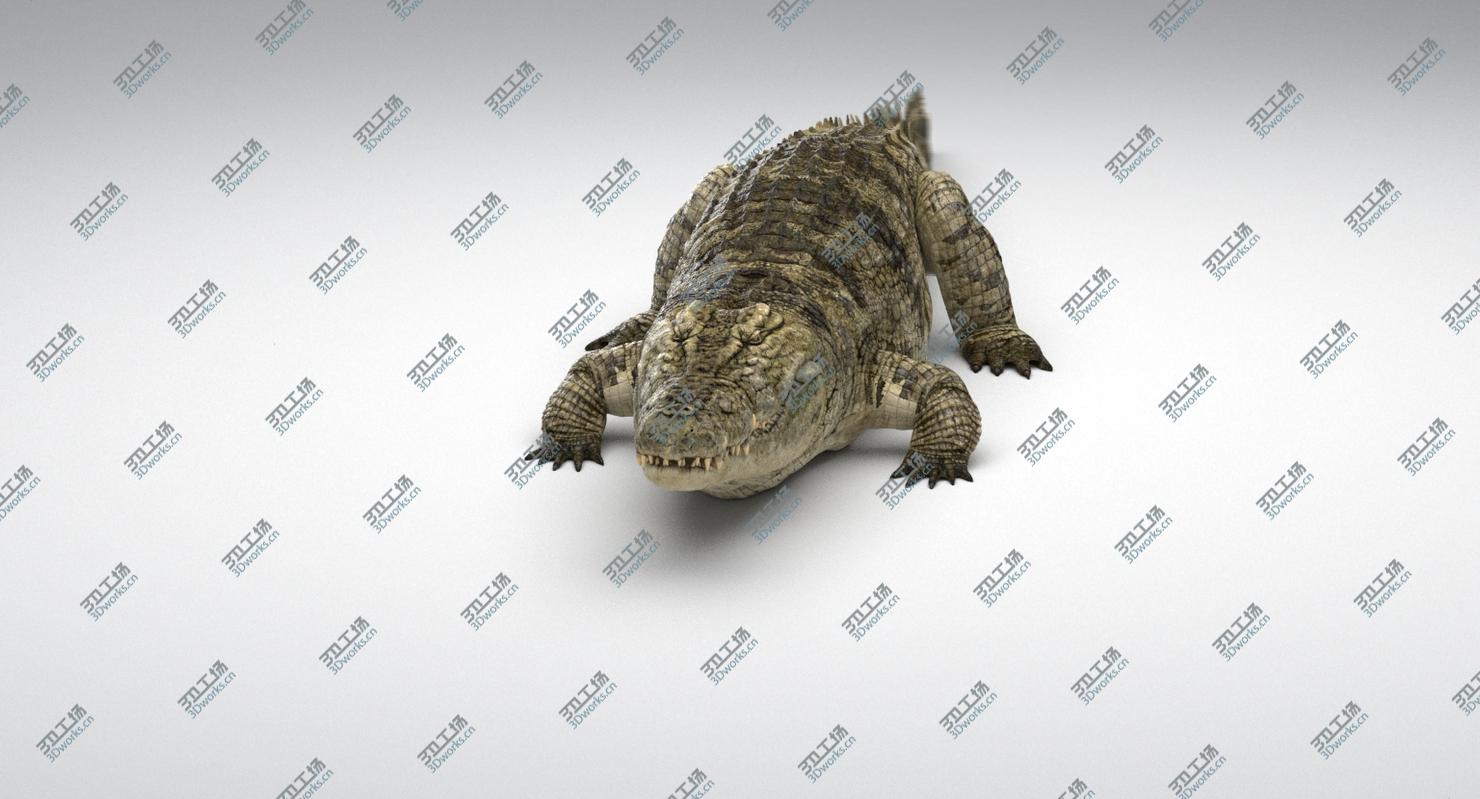 images/goods_img/20210113/3D Crocodile Animated model/4.jpg